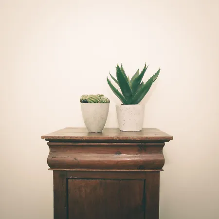 فندق مبيت وإفطار Al Foro Annonario 4*